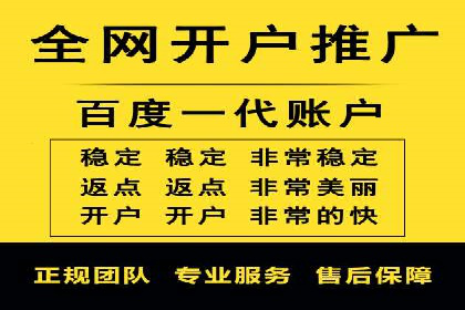 成功案例：托管SEM竞价在金融行业的应用